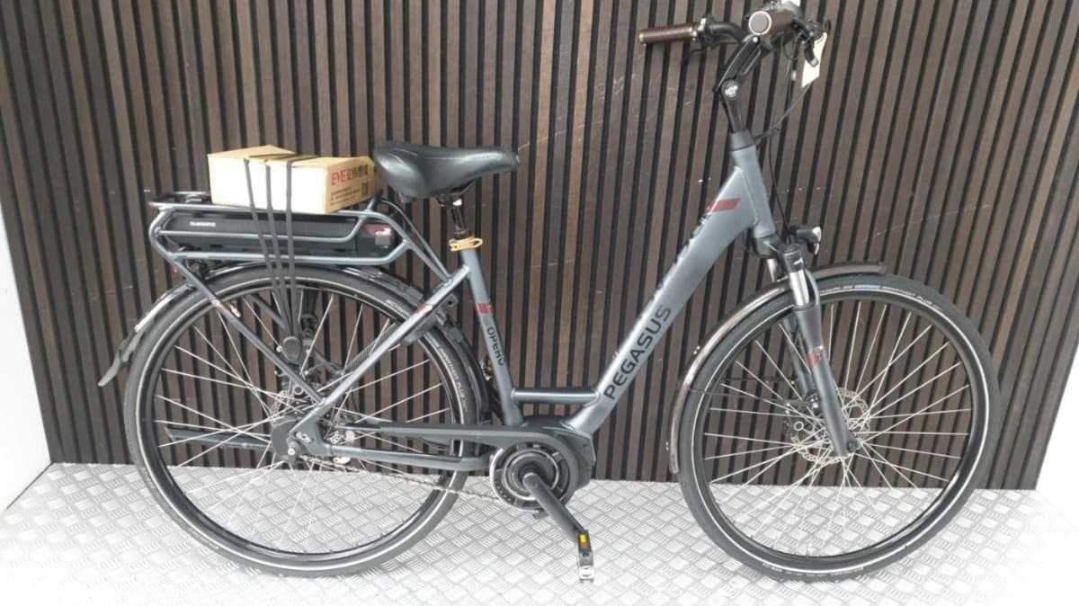 Pegasus Stadsfiets Elektrisch Tweedehands - Grijs