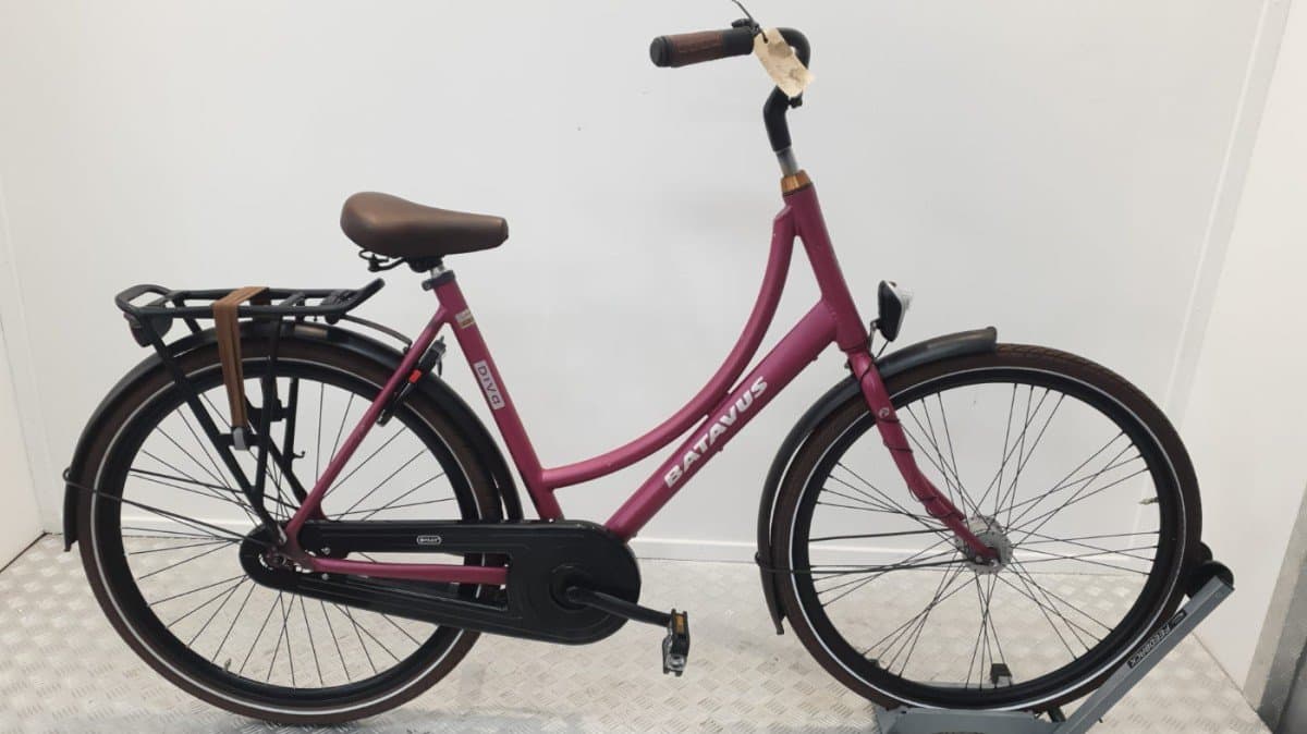 Batavus Diva