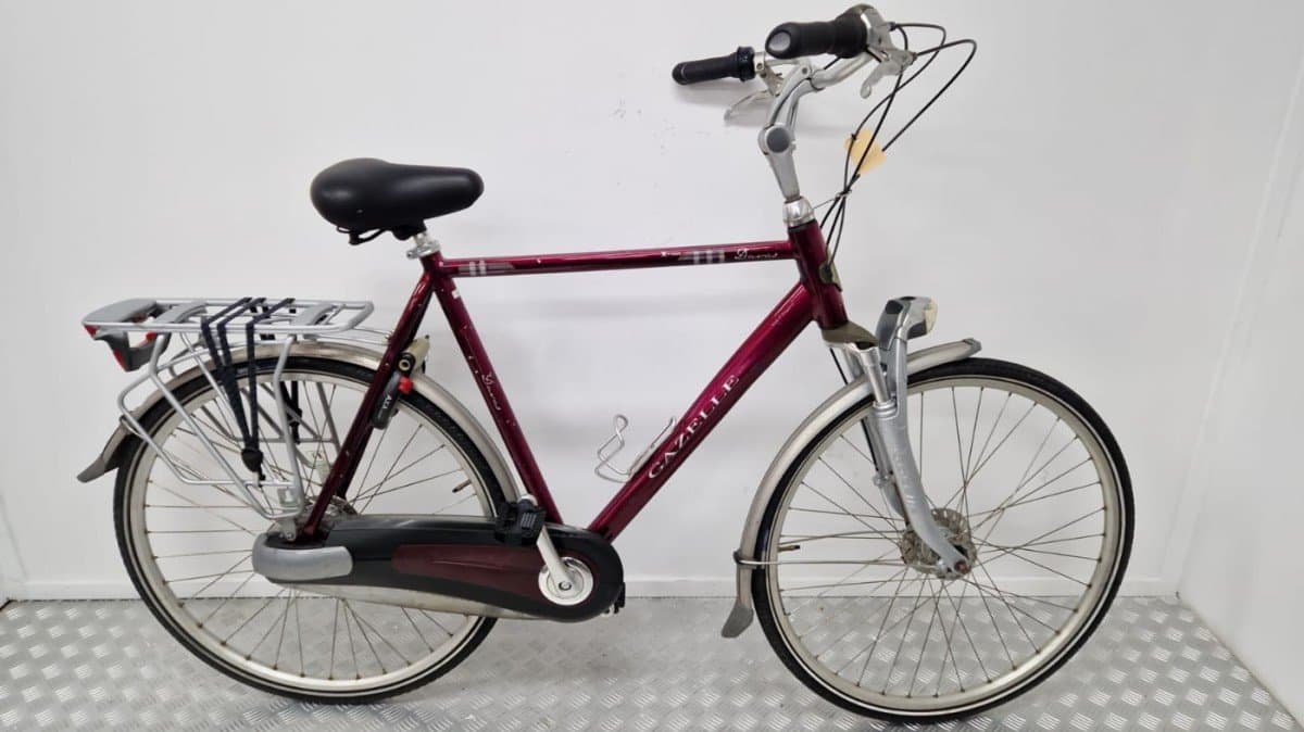 Gazelle Davos