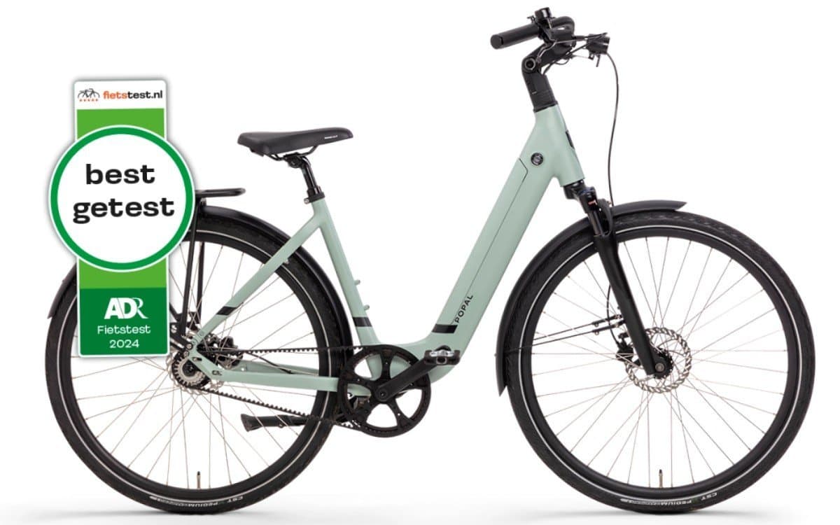 Popal Elektrische Stadsfiets Groen - Rijklaar